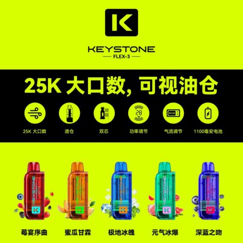 KEYSTONE FLEX-3 25000口 專彈專機套裝 40W 可調功率 × 透明油倉 × 雙網狀霧化